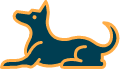 Pet Image